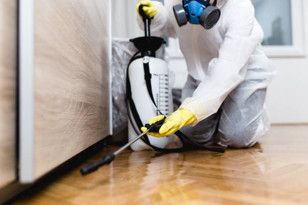 Best Affordable Pest Control Services  in Grove Hill, AL