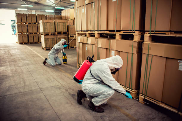 Best Affordable Pest Control Services  in Grove Hill, AL