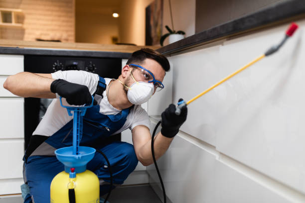 Best Residential Pest Control  in Grove Hill, AL