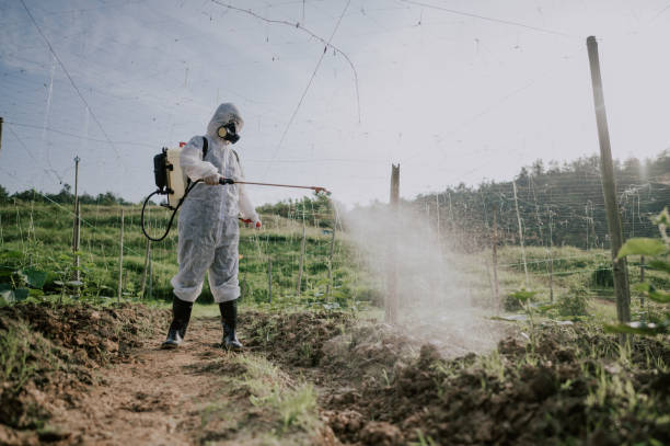 Best Ant Control Services  in Grove Hill, AL