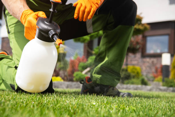 Best Best Pest Control Companies  in Grove Hill, AL