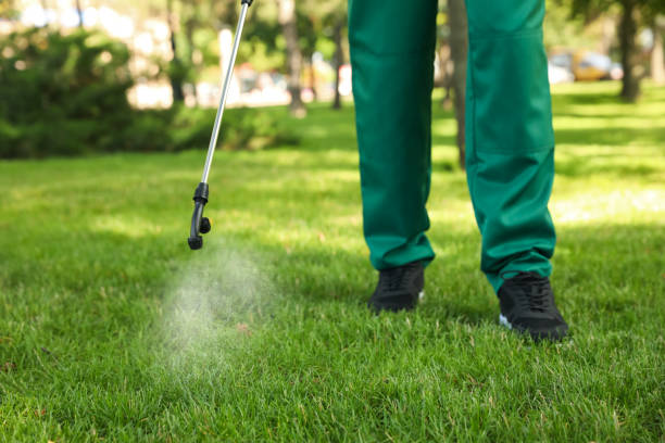 Reliable Grove Hill, AL Pest Control Solutions