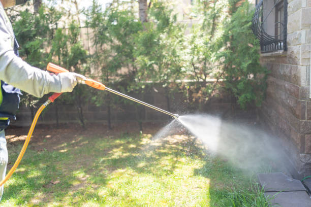 Best Pest Removal Services  in Grove Hill, AL