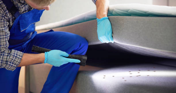 Best Termite Control Services  in Grove Hill, AL
