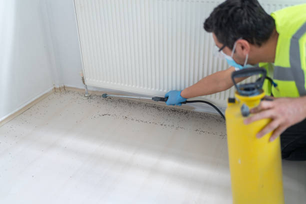 Best Wasp Removal Services  in Grove Hill, AL