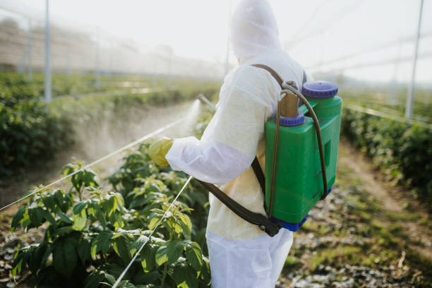 Best Emergency Pest Control  in Grove Hill, AL